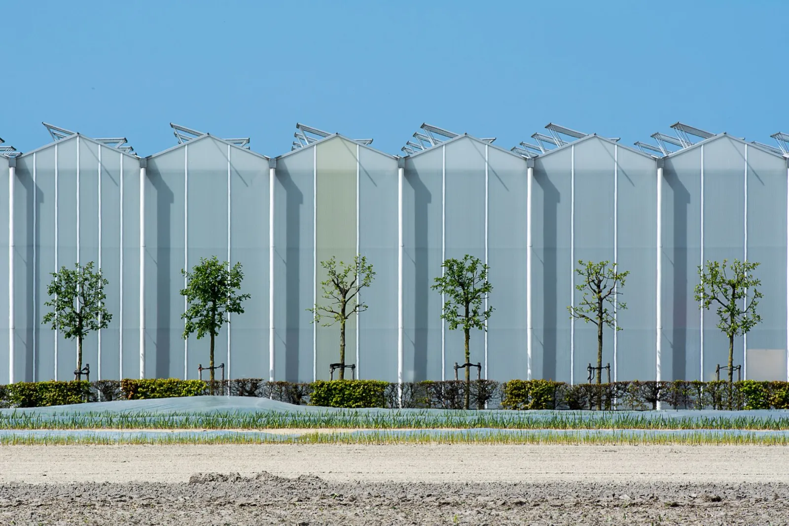 Zonnepanelen verbruik overdag verhogen saldering